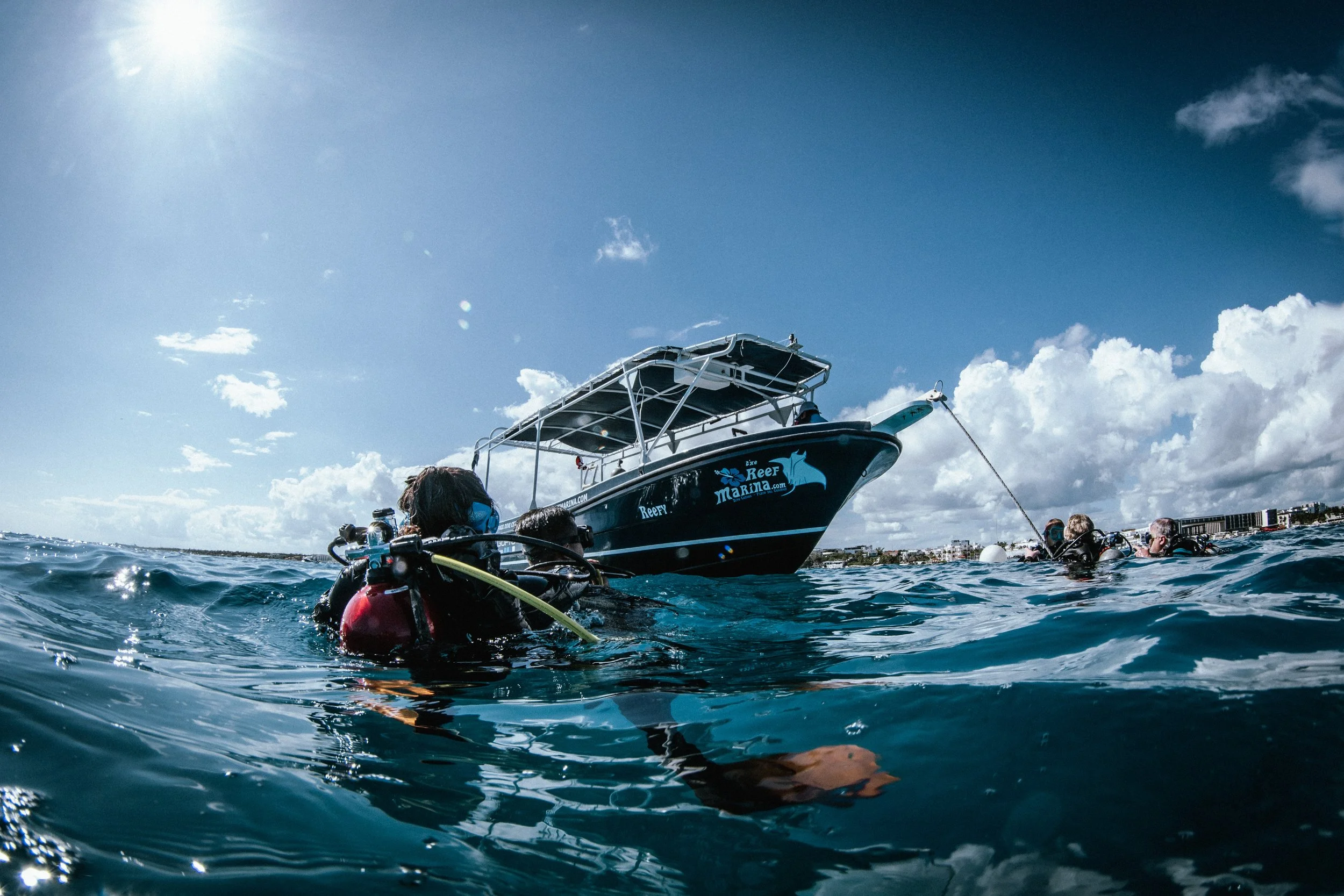 Playa del Carmen Unterwasser: Tauchschule Playa del Carmen führt dich hin