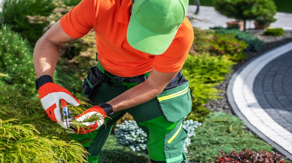 Nachhaltige Gestaltungslösungen im Gartenbau Wolfenbüttel