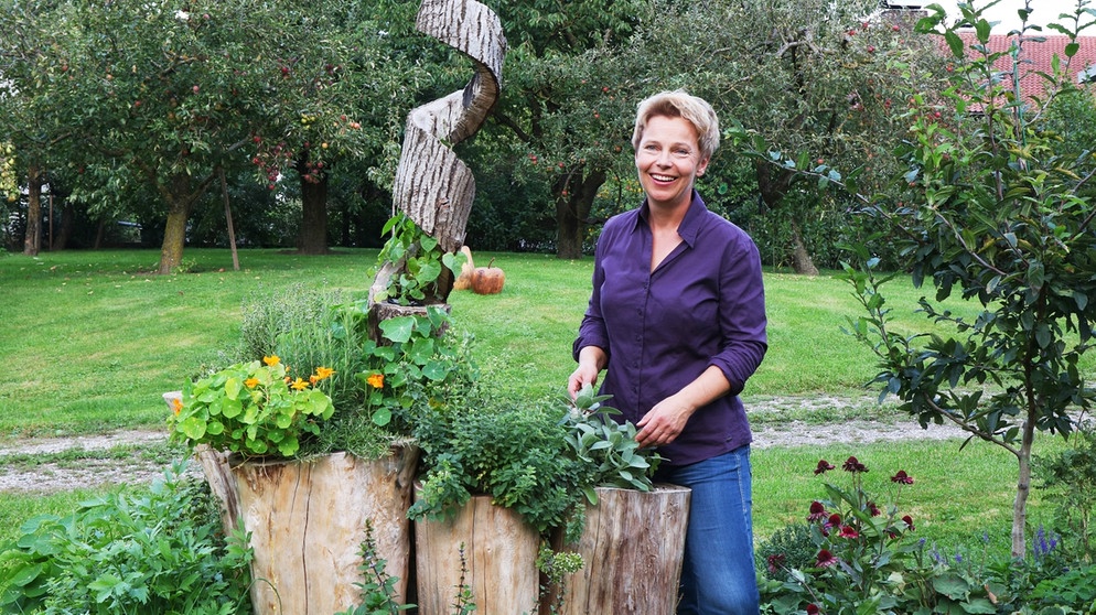 Die Gartengeschichte: Jenseits von Pflanzen und Blütenblättern