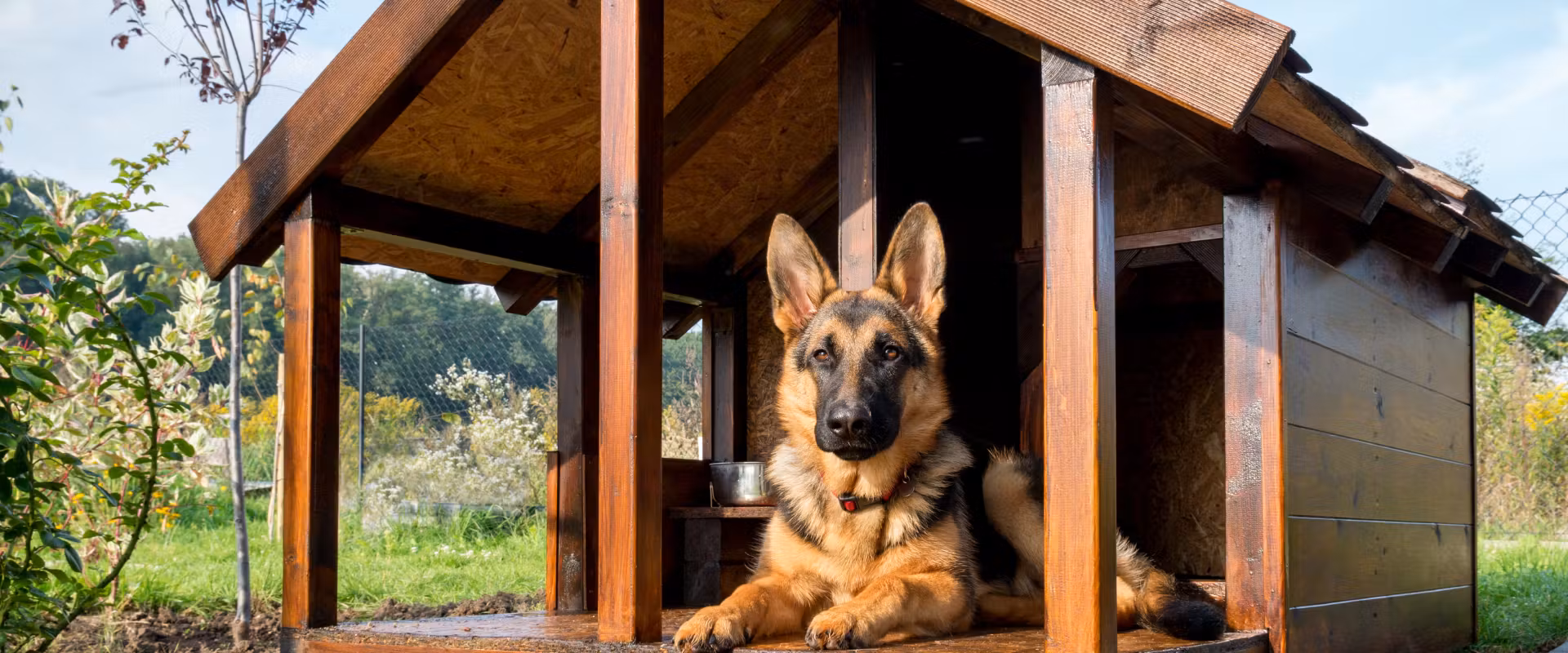 Ferienhaus mit Hund Holland – Entspannter Urlaub mit Vierbeiner