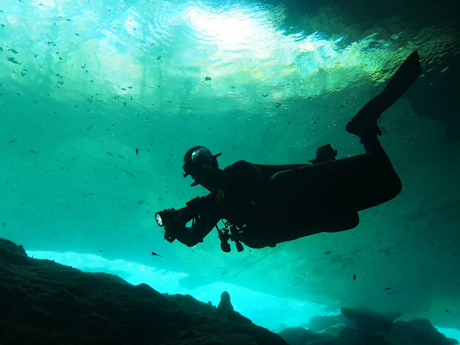 Playa del Carmen Unterwasser: Tauchschule Playa del Carmen führt dich hin